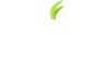 Tor Browser logo